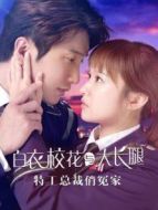 特工總裁俏冤家