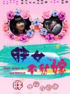 電影胖女不愁嫁海報(bào)
