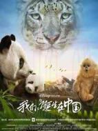 我們誕生在中國