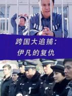 跨國(guó)大追捕：伊凡的復(fù)仇