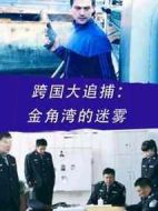 跨國大追捕：金角灣的迷霧