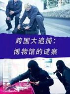 跨國(guó)大追捕：博物館的謎案