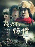 戰(zhàn)火中的傷情