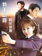 特工總裁?；▽櫰? height=