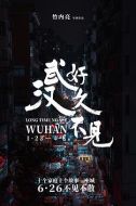 好久不見，武漢