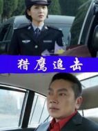 獵鷹追擊