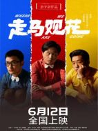 電影走馬觀花海報