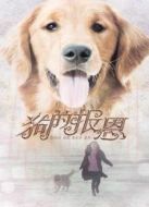 狗的報(bào)恩