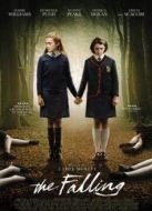 電影墮落（2014）海報(bào)