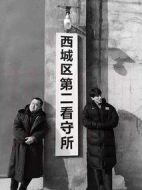 笨蛋都到齊了