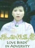 風(fēng)雨相思雁