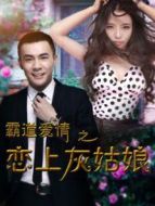 霸道愛情之戀上灰姑娘