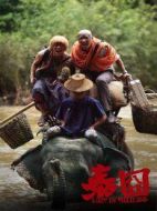 少年囧寶的泰國(guó)漂流