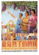 葡萄熟了的時(shí)候