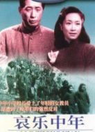 哀樂中年-大陸版