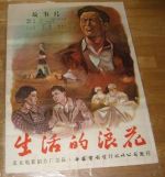 生活的浪花