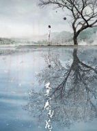 電影又是一春梨花白海報(bào)