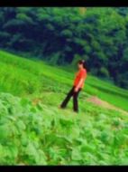 南粵西廂