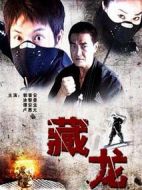電影藏龍海報(bào)