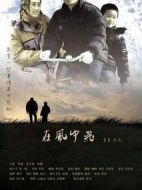 電影在風(fēng)中飛海報(bào)