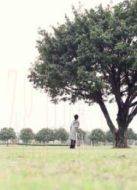 夢(mèng)（2014）