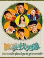 電影我要找對(duì)象海報(bào)