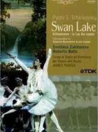 電影天鵝湖海報