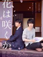 不知花開否