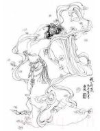 趙飛燕