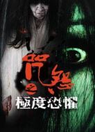 電影咒怨之極度恐懼海報(bào)
