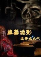 盜墓詭影之尋龍點(diǎn)穴