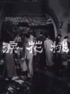 電影桃花淚海報(bào)