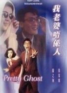 電影我老婆唔系人海報(bào)