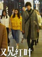 電影穿越時(shí)空的呼喚海報(bào)