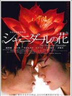沙尼達爾之花
