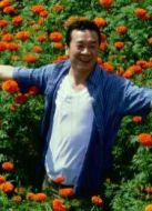 來福來福