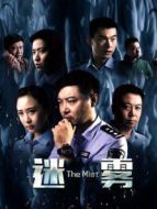 電影迷霧2017海報(bào)