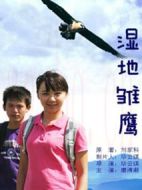 濕地雛鷹