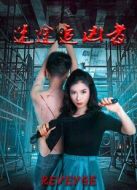 電影迷途追兇者海報(bào)