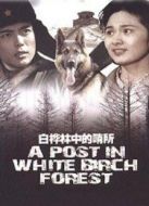 白樺林中的哨所