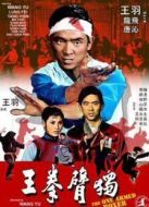 獨(dú)臂拳王
