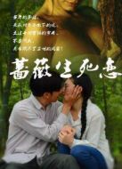 電影薔薇生死戀海報(bào)