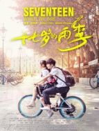 十七歲的雨季