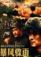 電影暴風(fēng)驟雨海報(bào)