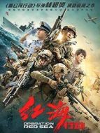 紅海行動(dòng)