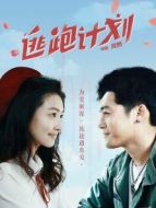 電影逃跑計(jì)劃海報(bào)