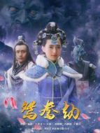 電影鴛鴦劫海報