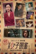 北京女子圖鑒之助理女王