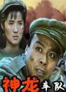 神龍車隊
