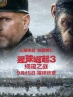 猩球崛起3:終極之戰(zhàn)（國(guó)語(yǔ)）